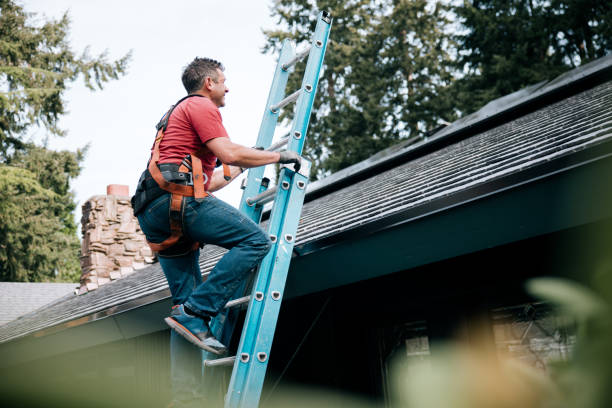 Professional Roofing Service in Shingle Springs, CA